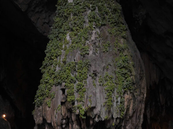 4464639915644780085 1