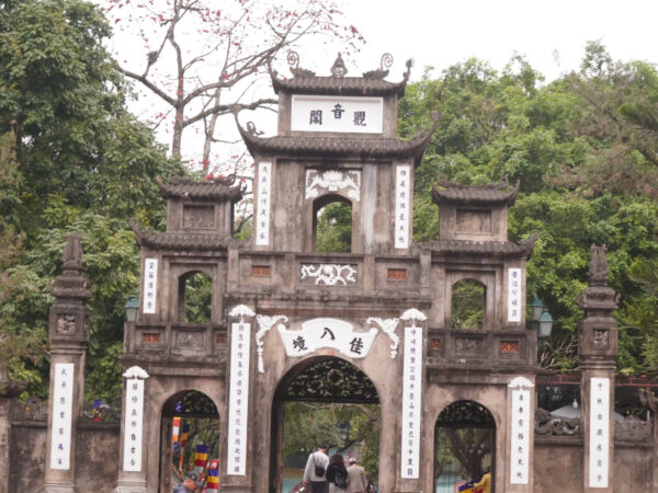 79672bebdf9252cc0b83 1