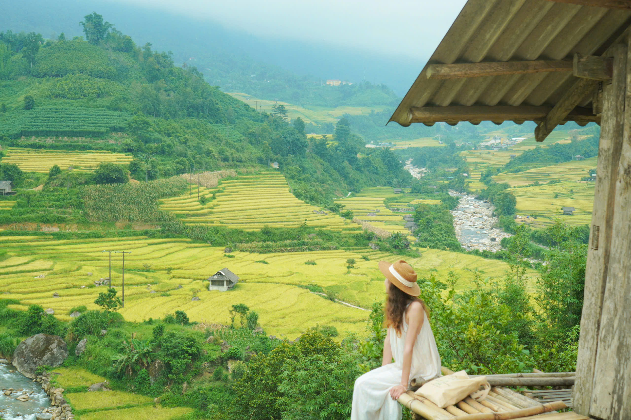 sub banner tititravel