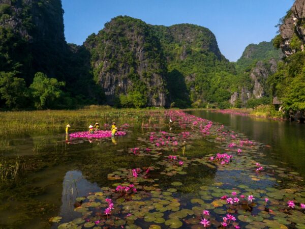 tam coc 3