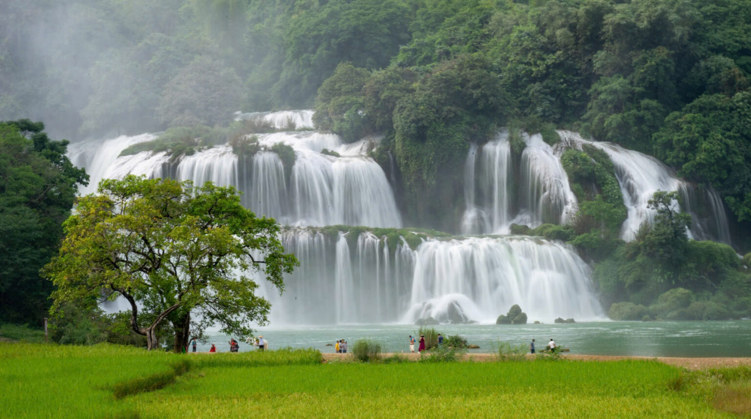 z7109723131009 f8f43ff5d1cfe2227b4ef78c5183ff73